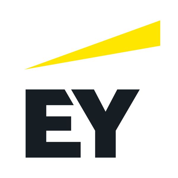 Ernst & Young Services Inc. 