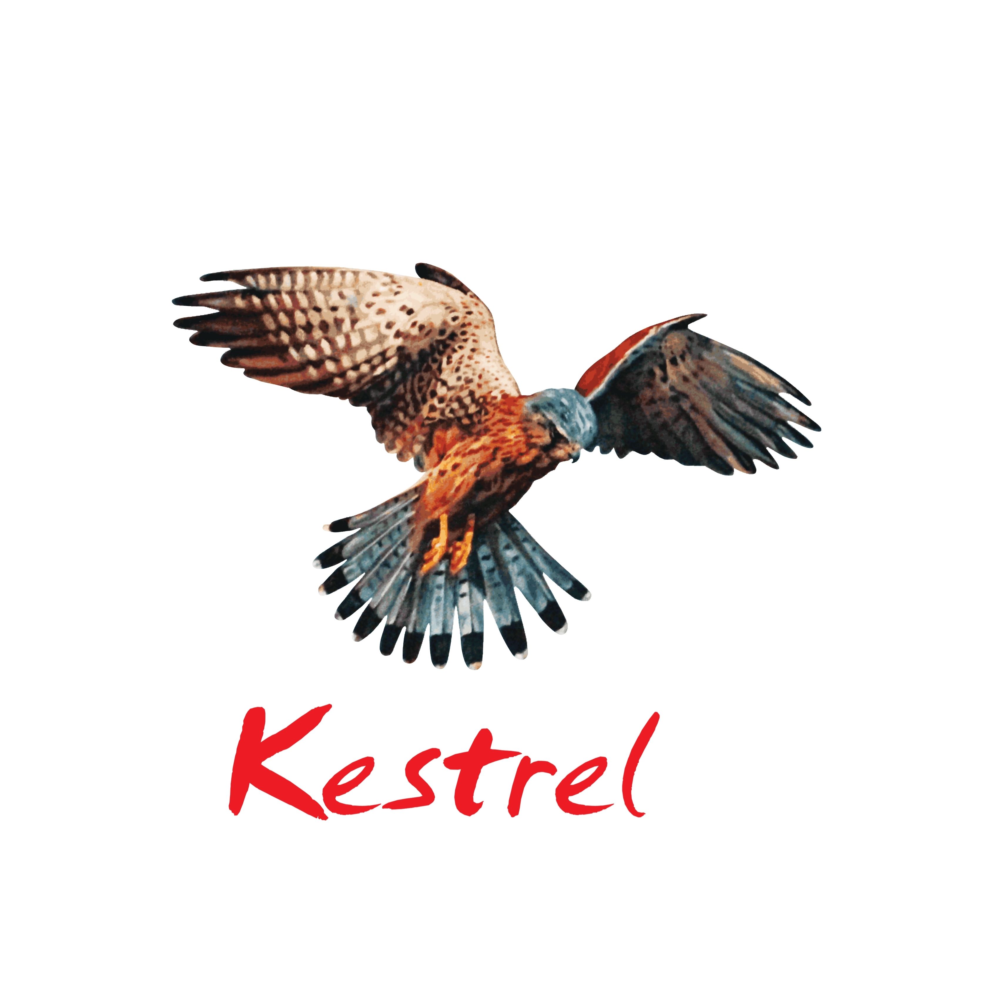 Kestrel Guyana