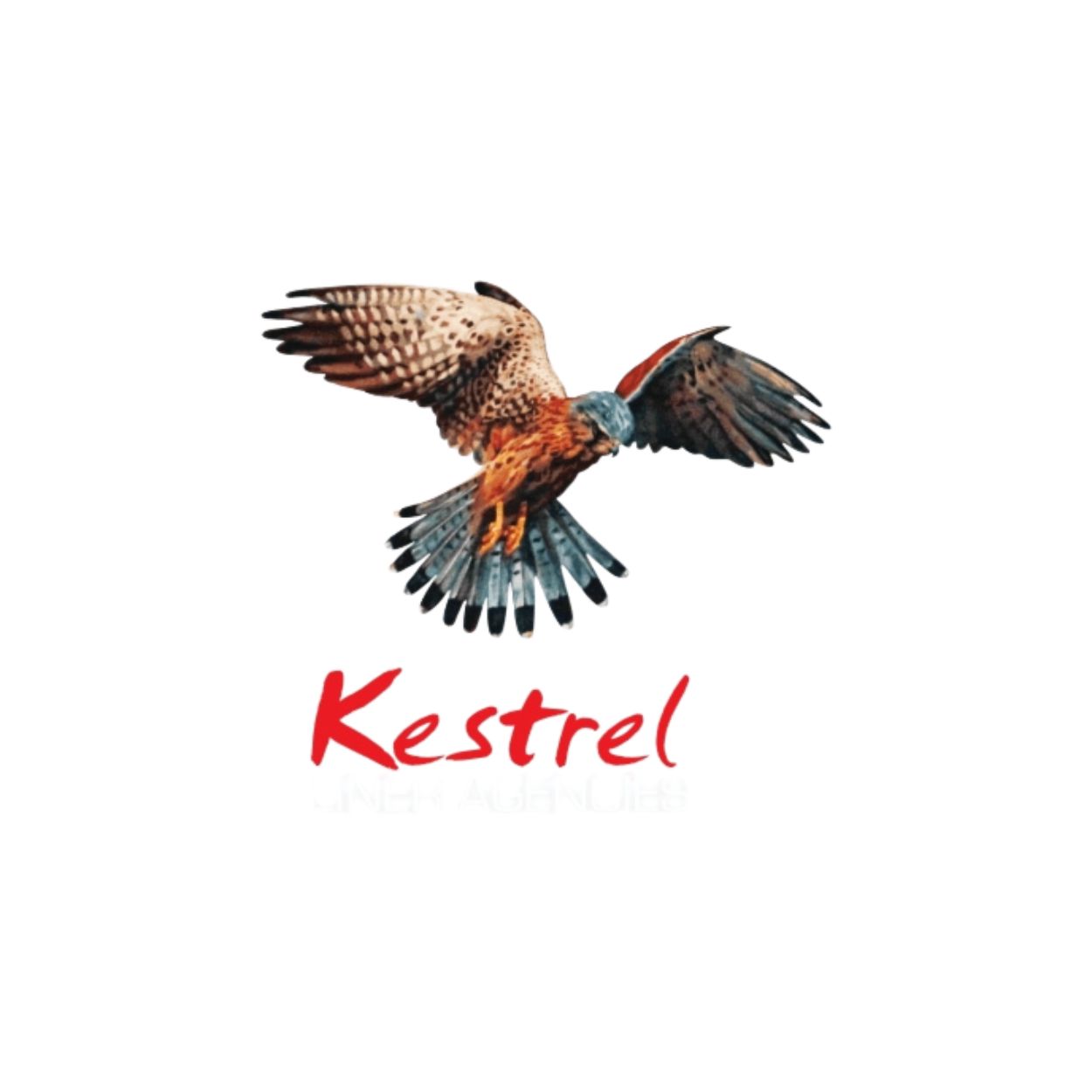 Kestrel Guyana