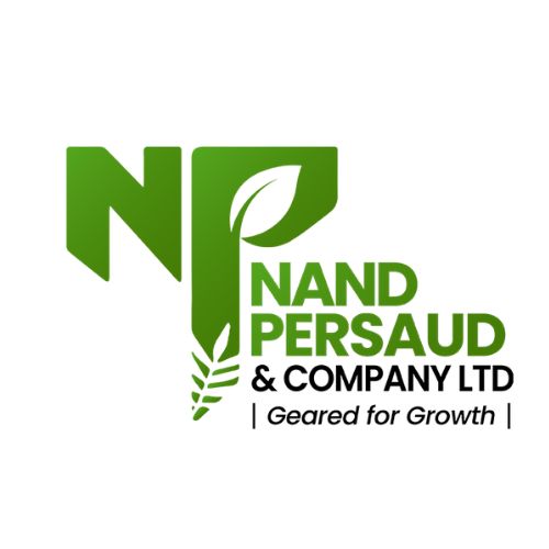 Nand Persaud and Company Ltd