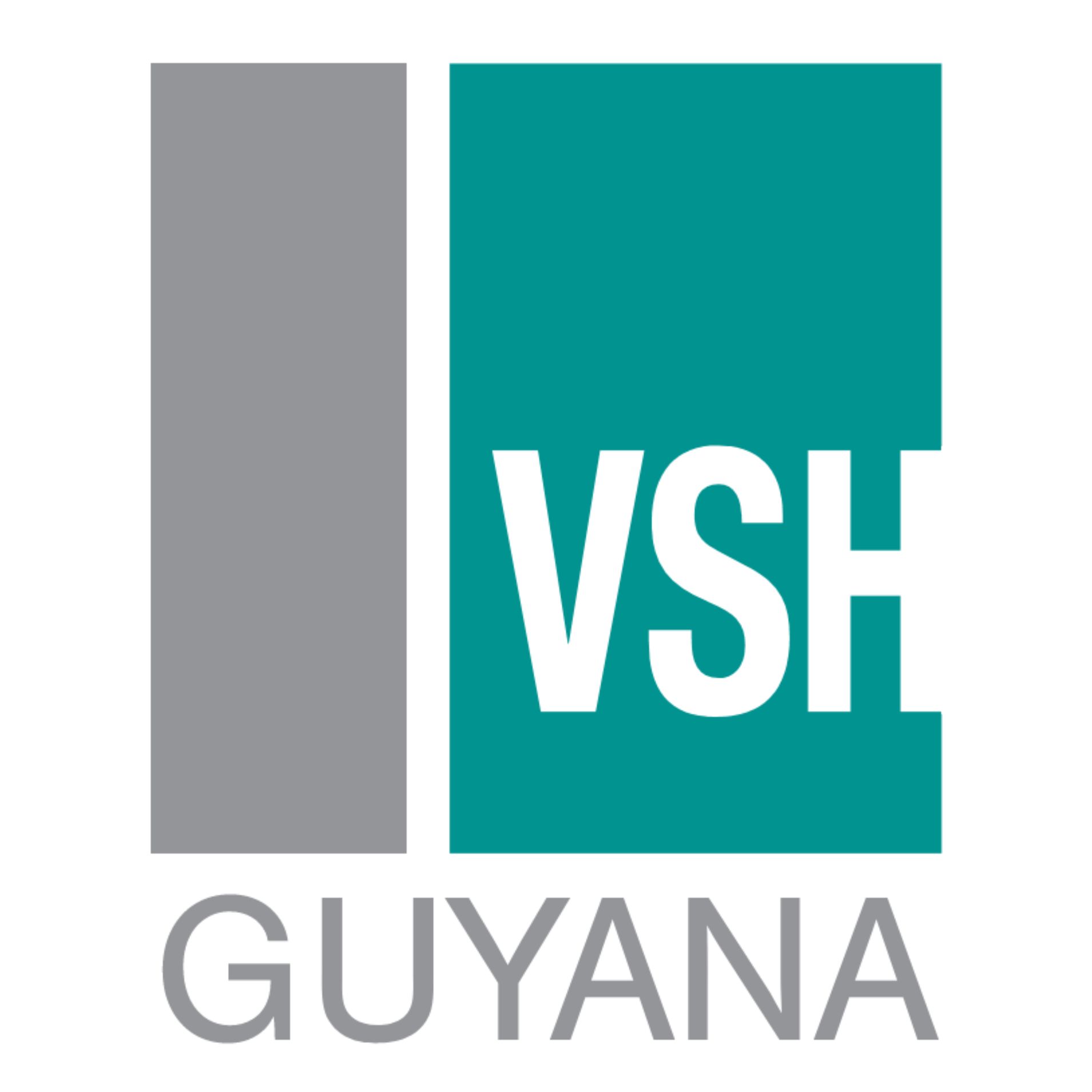 VSH United Guyana Inc