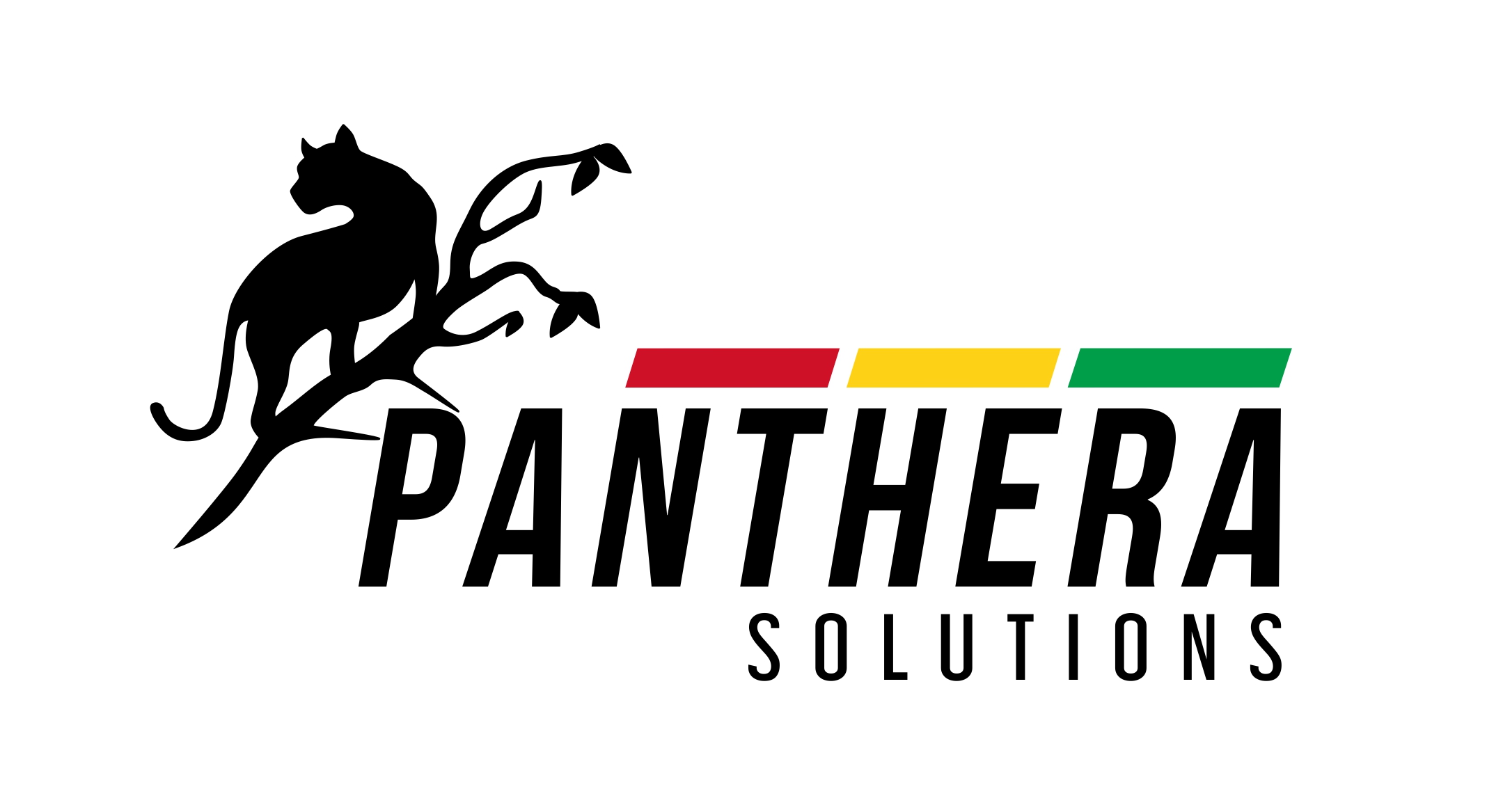 PANTHERA SOLUTIONS INC.