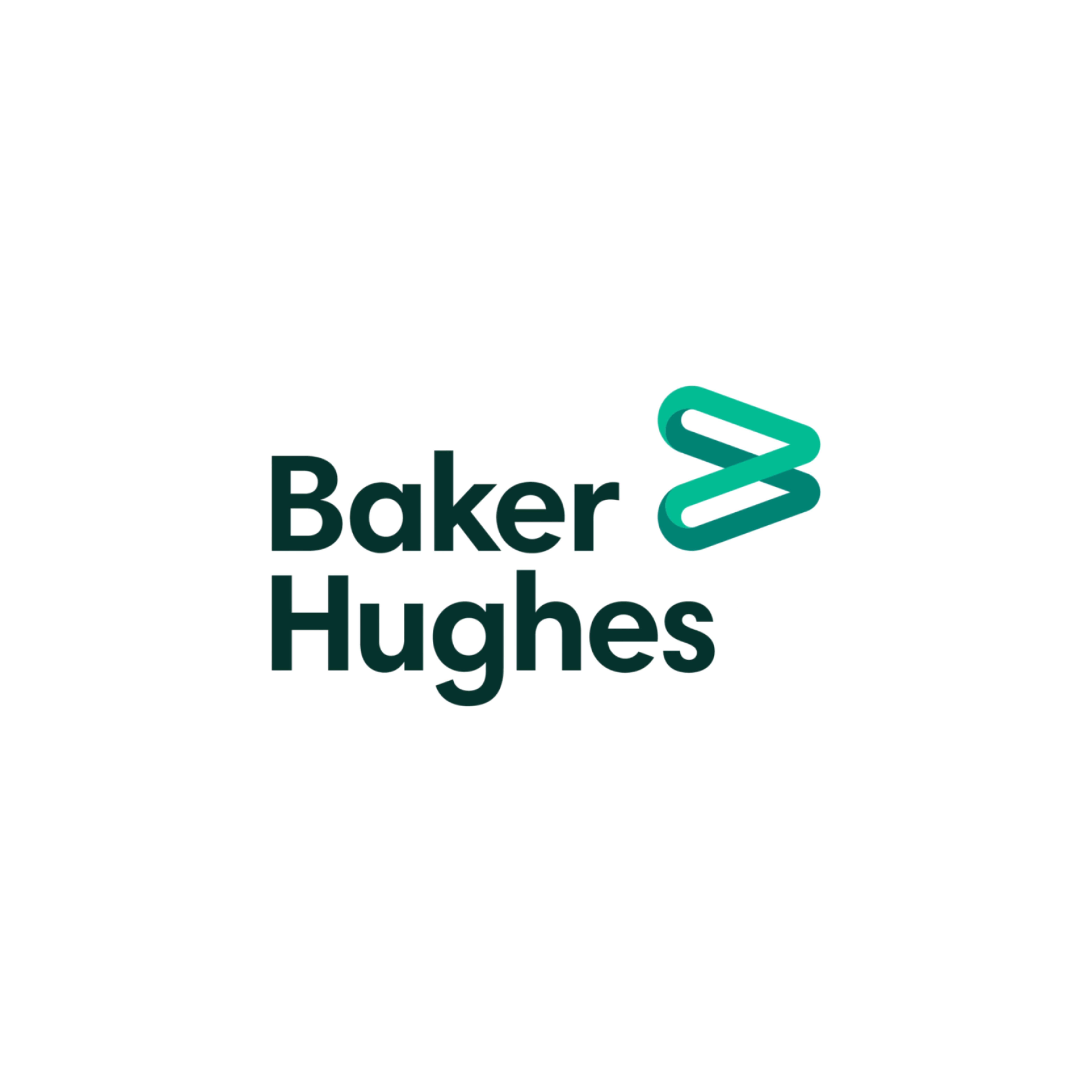Baker Hughes Guyana Company Inc.