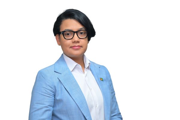 Hon. Susan Rodrigues